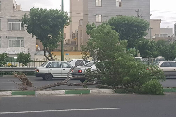 تند باد، رگبار شدید باران قروه را در نوردید