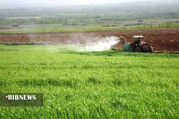 سمپاشی مزارع کردستان علیه آفت سن