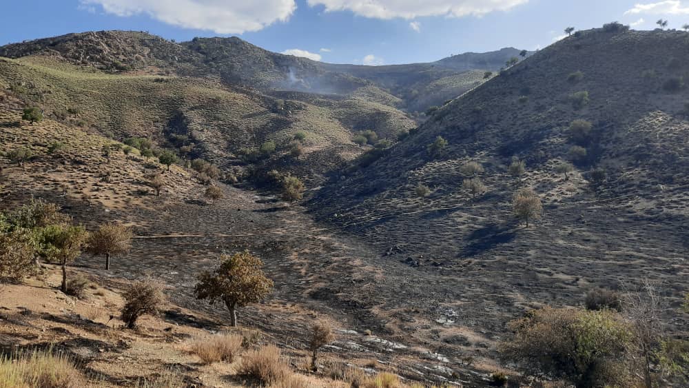 مهار آتش سوزی مراتع روستایی کوئین کامفیروز