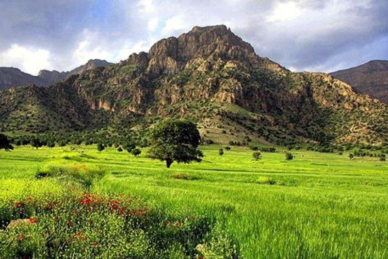 فراخوان نخستین جشنواره منابع طبیعی و رسانه کردستان