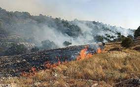 تاکید بر امادگی محیط بانان برای مهار آتش سوزی در مناطق طبیعی