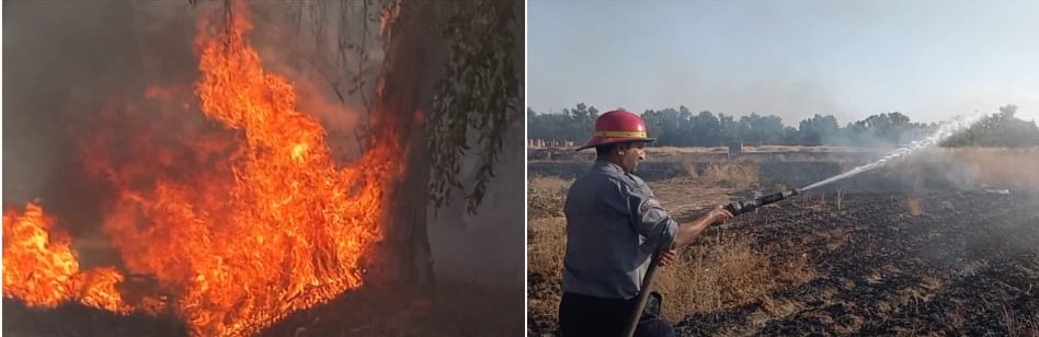 آتش سوزی در جنگل های سوم شعبان دزفول
