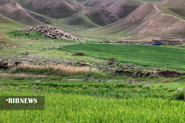 کاربرد زیست محیطی ۷۵ درصد مراتع همدان