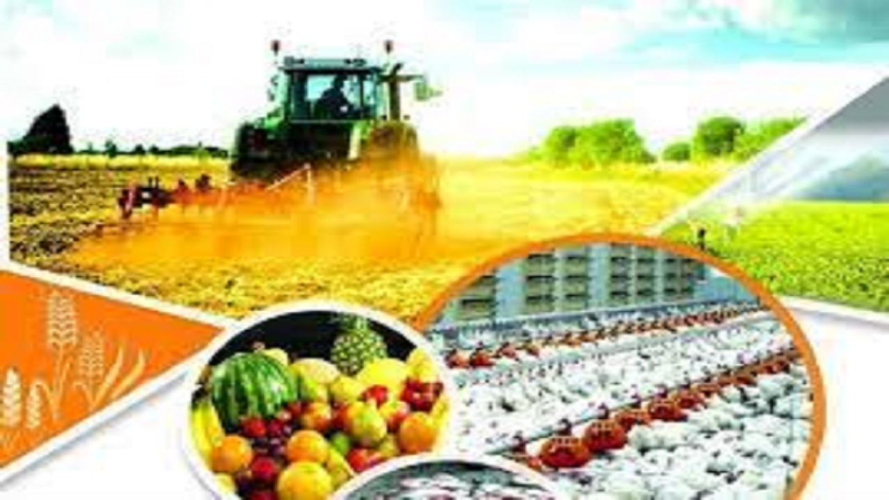 تعهد ایجاد ۳ هزار و ۶۸۴ شغل جدید در بخش کشاورزی قزوین