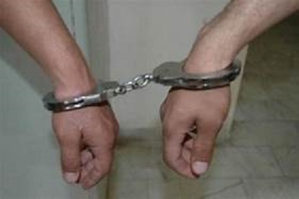 دستگیری سارقین در زنجان