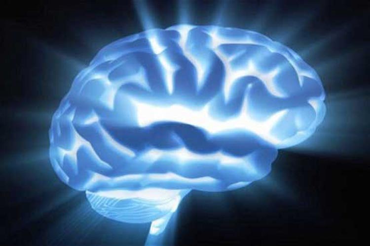 قدرت مغز با کدام ماده غذایی افزایش می‌یابد؟