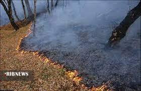 هشدار منابع طبیعی درباره احتمال آتش سوزی جنگل‌ها