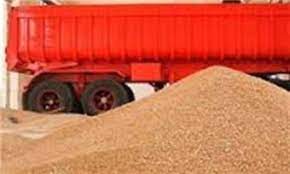 ارسال ۷۶ هزار تن گندم از استان گلستان به سایر نقاط کشور
