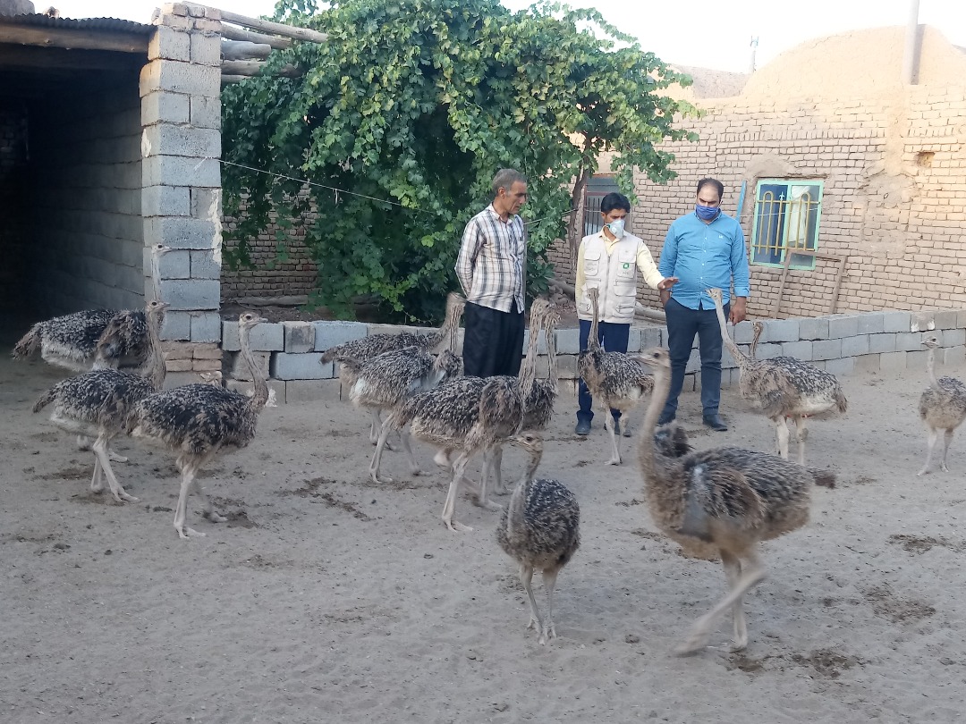 پرداخت تسهیلات ۲۰۰ میلیاردی بنیاد برکت در ۲۱ روستای بردسکن