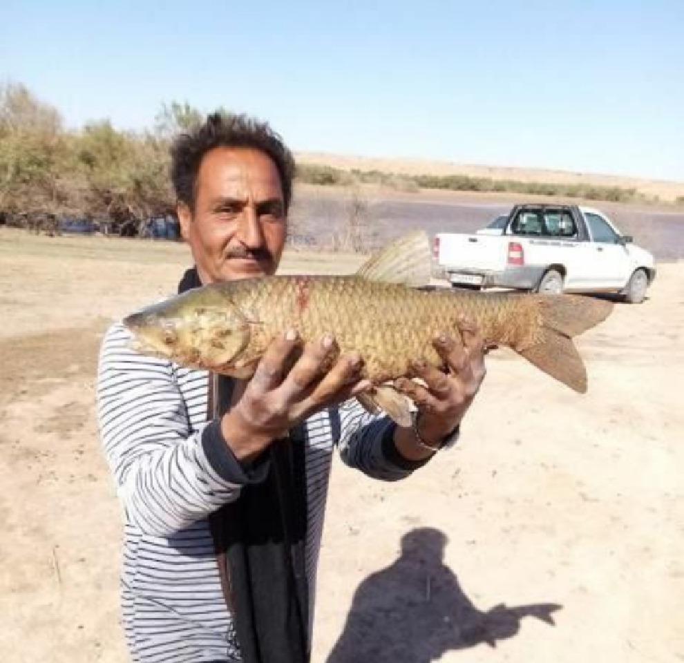 صید ماهی گرمابی از سد شهید رجایی شهرستان مه ولات