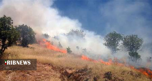 آتش سوزی در مراتع نقطه صفر مرزی سروآباد