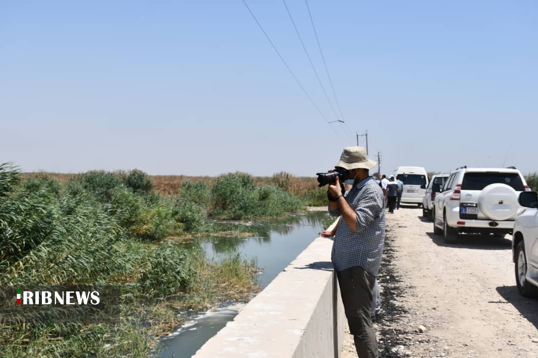 بازدید خبرنگاران و عکاسان خوزستانی از تالاب هورالعظیم
