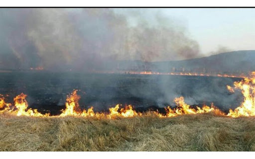 مهار آتش در مراتع منطقه آبزر اندیکا