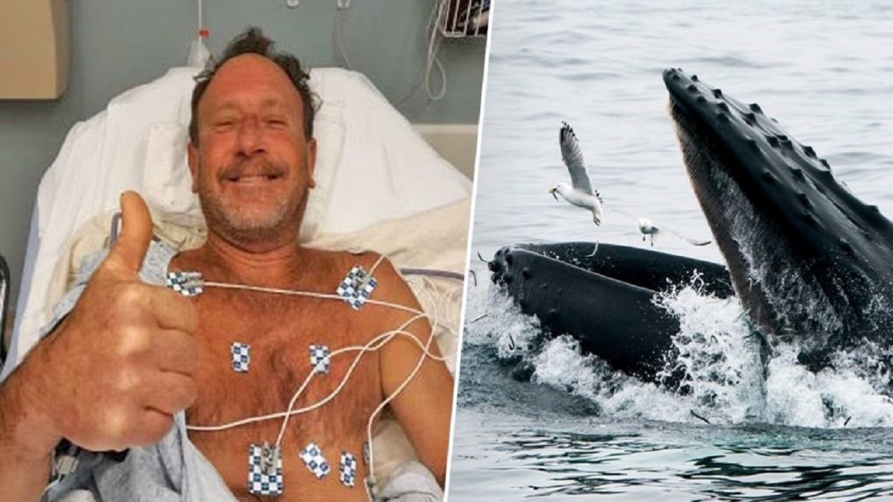 نجات غواصی که یک نهنگ او را بلعیده بود!