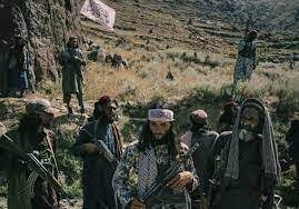 خیزش طالبان و افزایش نگرانی در پایتخت های روسیه و چین