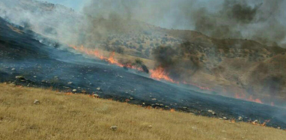مهار آتش سوزی در مراتع شهرستان لالی
