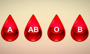نیاز انتقال خون گلستان به گروههای خونی
