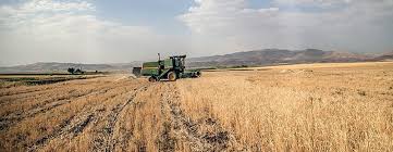خسارت هزار و ۴۰۰ میلیاردی خشکسالی به کشاورزی