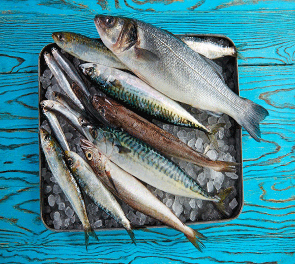 آیا مصرف ماهی در فصل تابستان مضر است؟