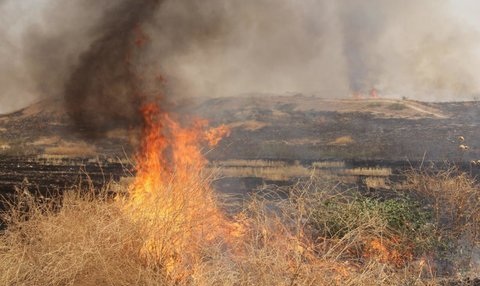 مهار آتش سوزی ۶ و نیم هکتاری مراتع در سمیرم