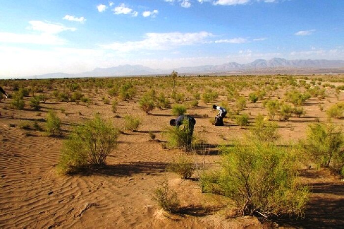 مهمانی که دیگر صاحبخانه شده