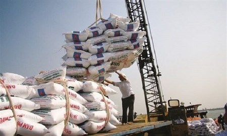 ماجرای ممنوعیت واردات برنج و کشتی های در راه