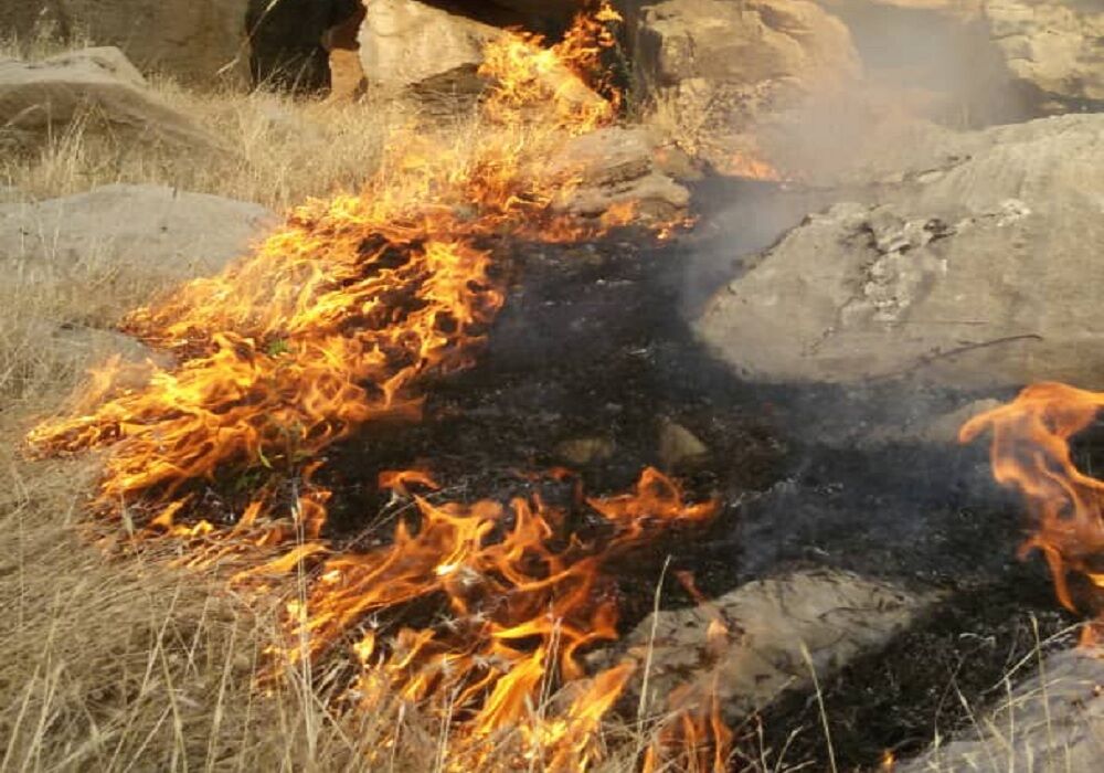 مهار آتش سوزی در مناطق حفاظت شده دنا