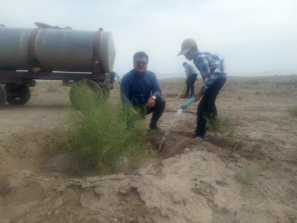 توزیع ۲ هزار و ۲۰۰ تن جو با قیمت دولتی بین دامداران بردسکن