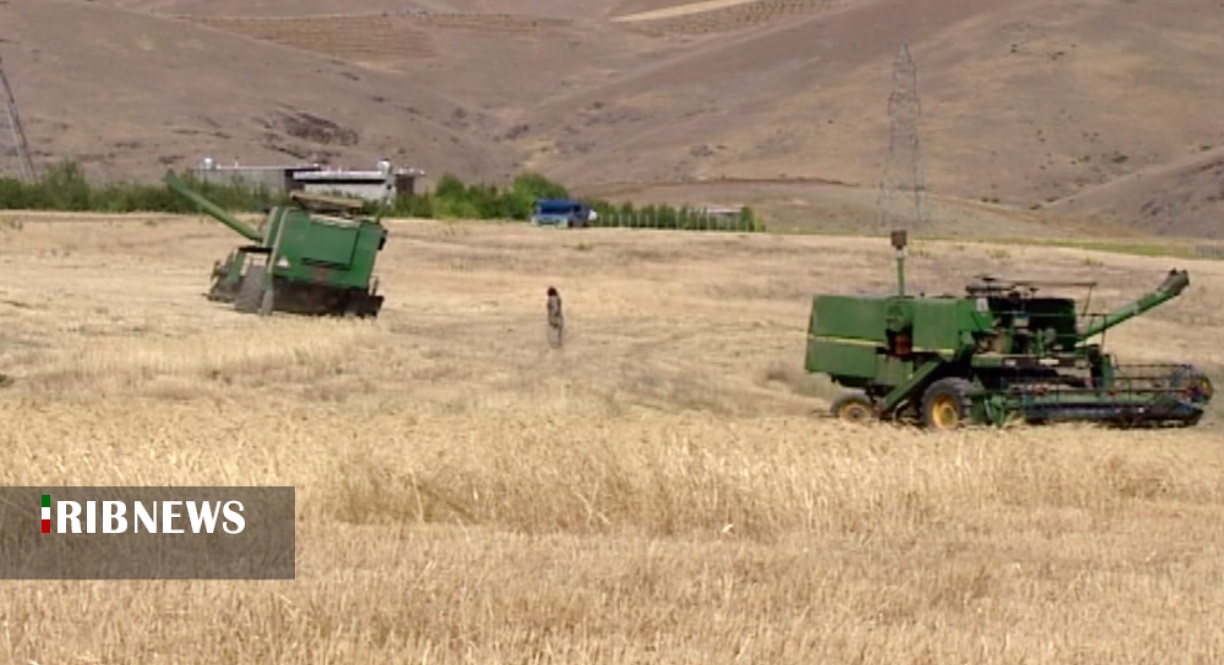 خسارت خشکسالی آماده پرداخت به کشاورزان کردستانی