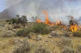 کاهش محسوس آتش سوزی در مراتع استان
