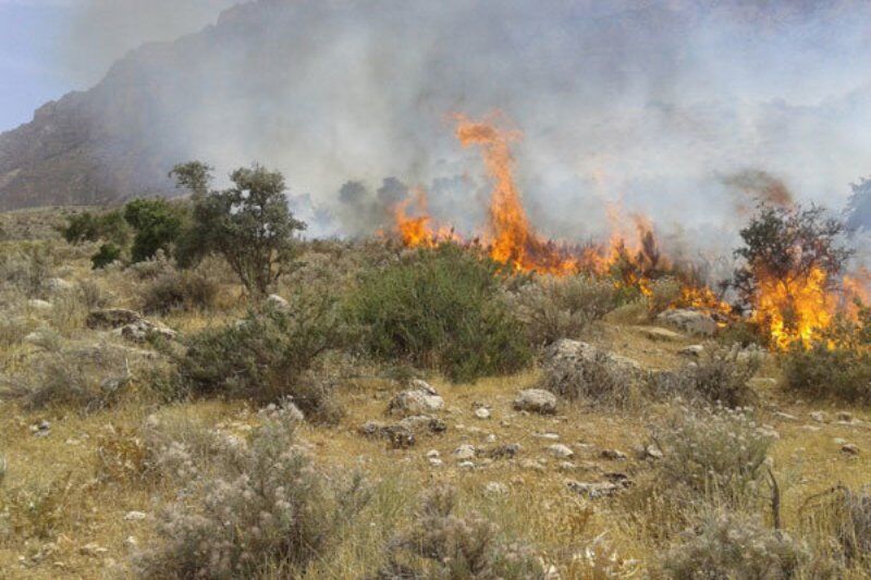 هشدار درباره آتش‌سوزی مراتع و جنگل‌ها