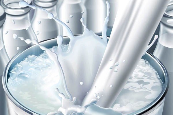الزامی بودن خرید تضمینی شیر با قیمت مصوب ۶ هزار و ۴۰۰ تومان