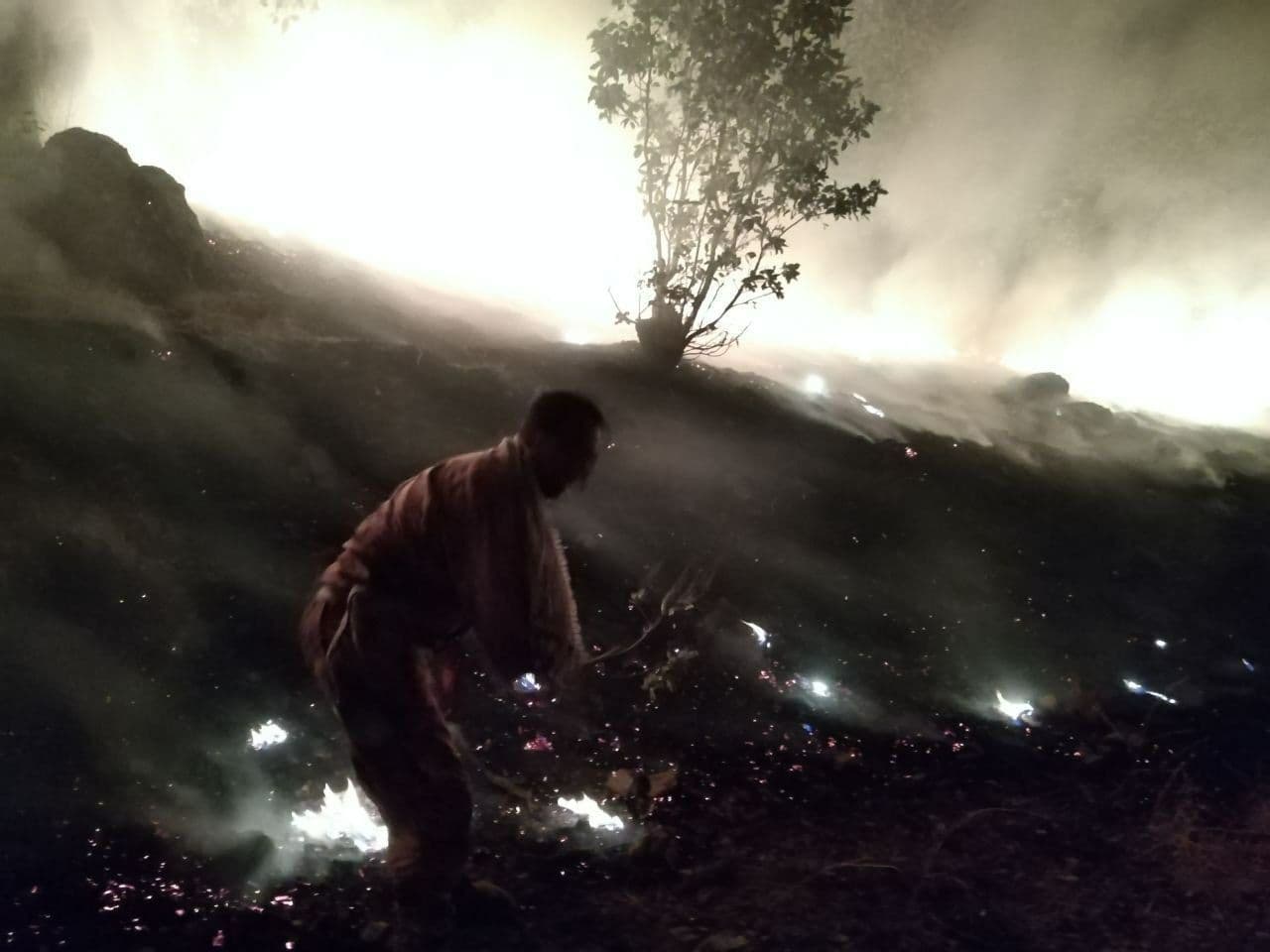 آتش سوزی درمنطقه حفاظت شده بوزین و مرخیل بامداد امروز مهار شد