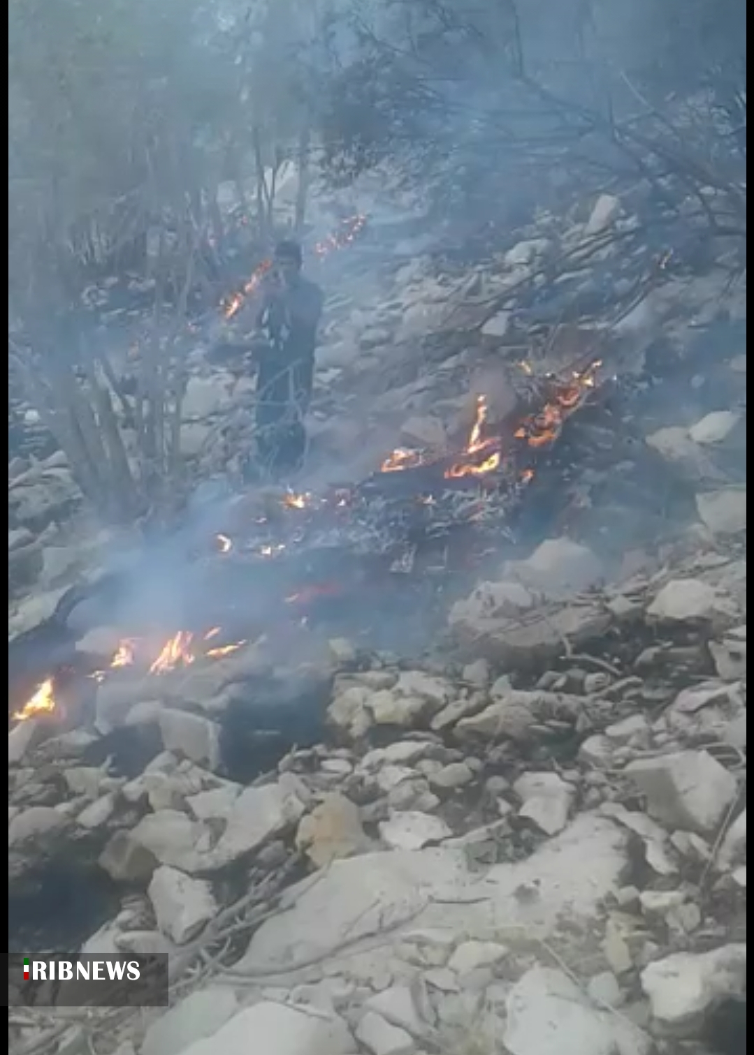 ادامه آتش سوزی در جنگل های احمدفداله دزفول