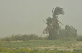 وزش باد نسبتاً شدید در شرق کرمان