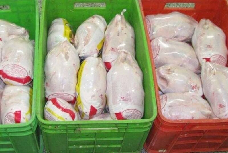 کشف هزار و ۵۶۰ قطعه مرغ فاقد مجوز در بیرجند