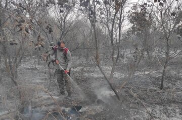 مهار آتش سوزی جنگل‌های احمدفداله دزفول