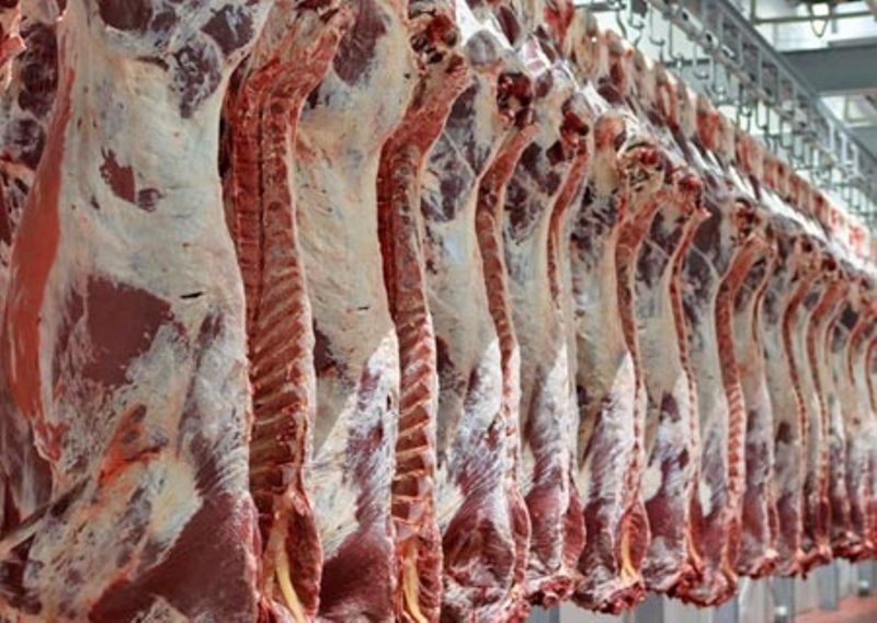 جلوگیری از عرضه ۱۴ هزار کیلوگرم گوشت در بازار خوزستان
