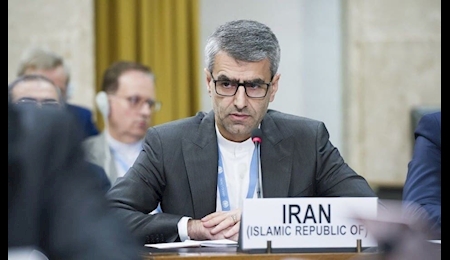 نماینده ایران در ژنو:‌ تحریم ها نسل کشی مدرن هستند