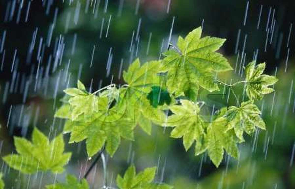 ثبت ۴ میلیمتر بارش باران در رازمیان