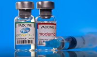افزایش قیمت واکسن‌های فایزر و مدرنا