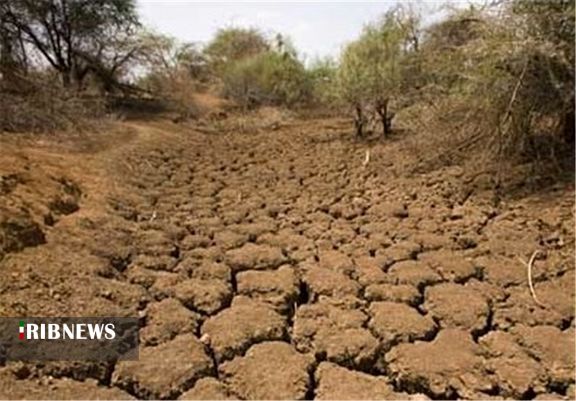 بذرپاشی ۲ هزار هکتار از مراتع همدان برای پیشگیری از خشکسالی