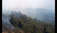 آتش سوزی در مناطق جنگلی جمهوری آذریابجان هم مرز با ایران