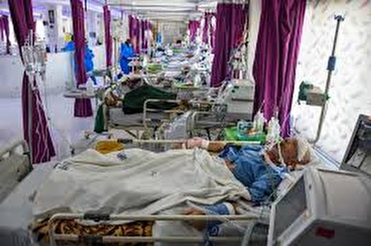 ماجرای چمن‌خوابی اطراف بیمارستان‌های کرونایی