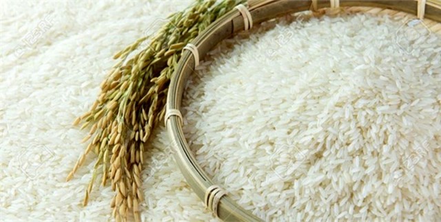 تصمیم‌گیری برای ممنوعیت یا واردات برنج نهایی می‌شود
