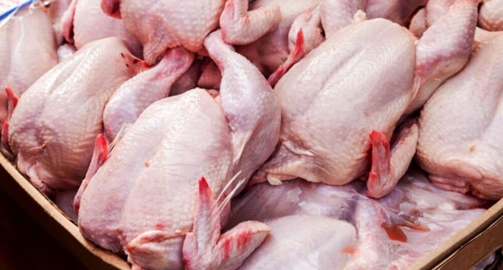 توزیع ۷۱ تُن گوشت مرغ در چهارمحال و بختیاری