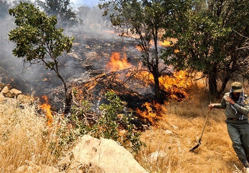 مرگ ۳ نفر در آتش سوزی ارتفاعات تنگ هایقر
