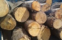 كشف بیش از 4 تن چوب قاچاق در زاهدان
