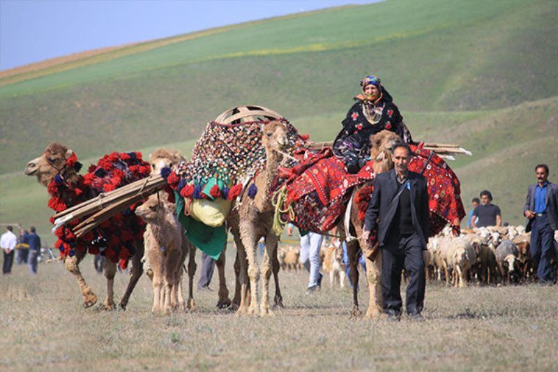 وجود ۹۹ کانون عشایری برای استقرار عشایر ایلام