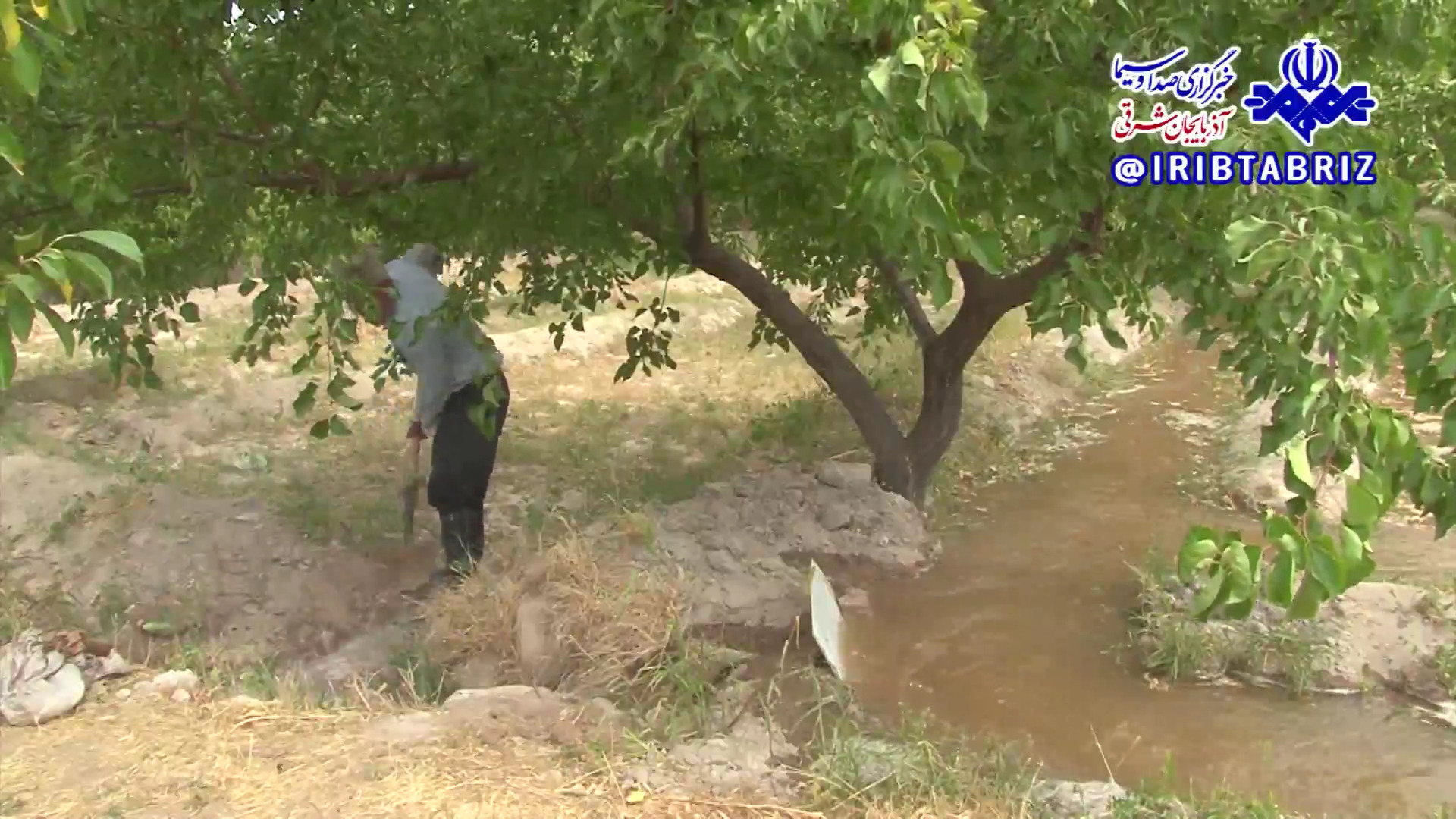گذر از خشکسالی با مدیریت آب سد علویان مراغه